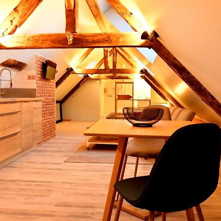 Loft Sous Les Combles - Loft Under The Rafter Apartment Родез Екстериор снимка