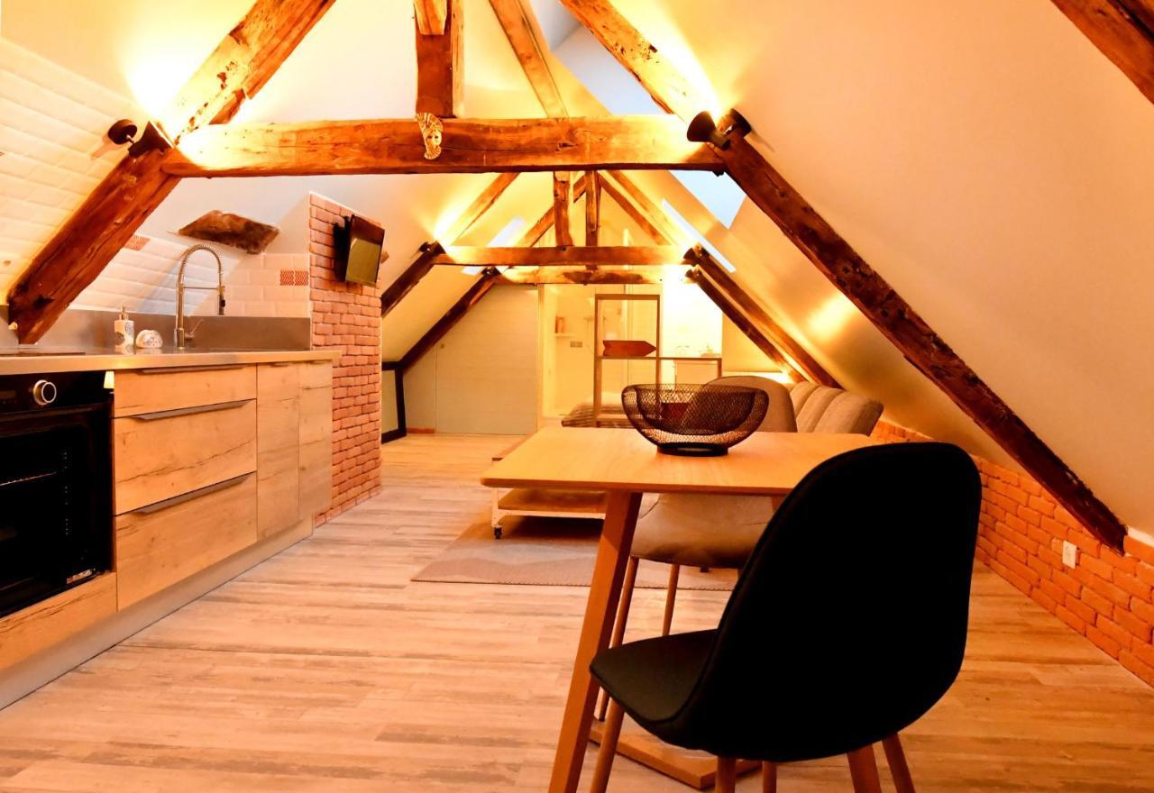 Loft Sous Les Combles - Loft Under The Rafter Apartment Родез Екстериор снимка