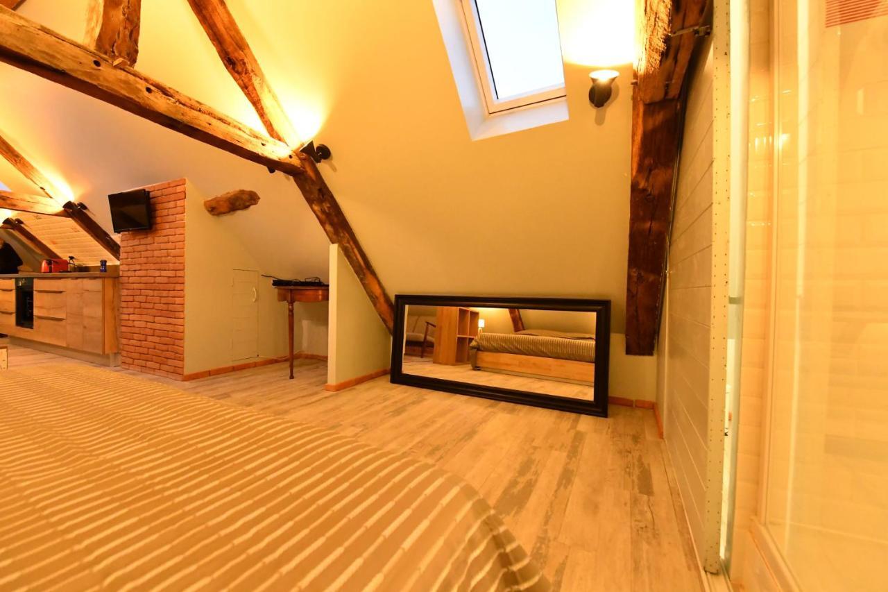 Loft Sous Les Combles - Loft Under The Rafter Apartment Родез Екстериор снимка